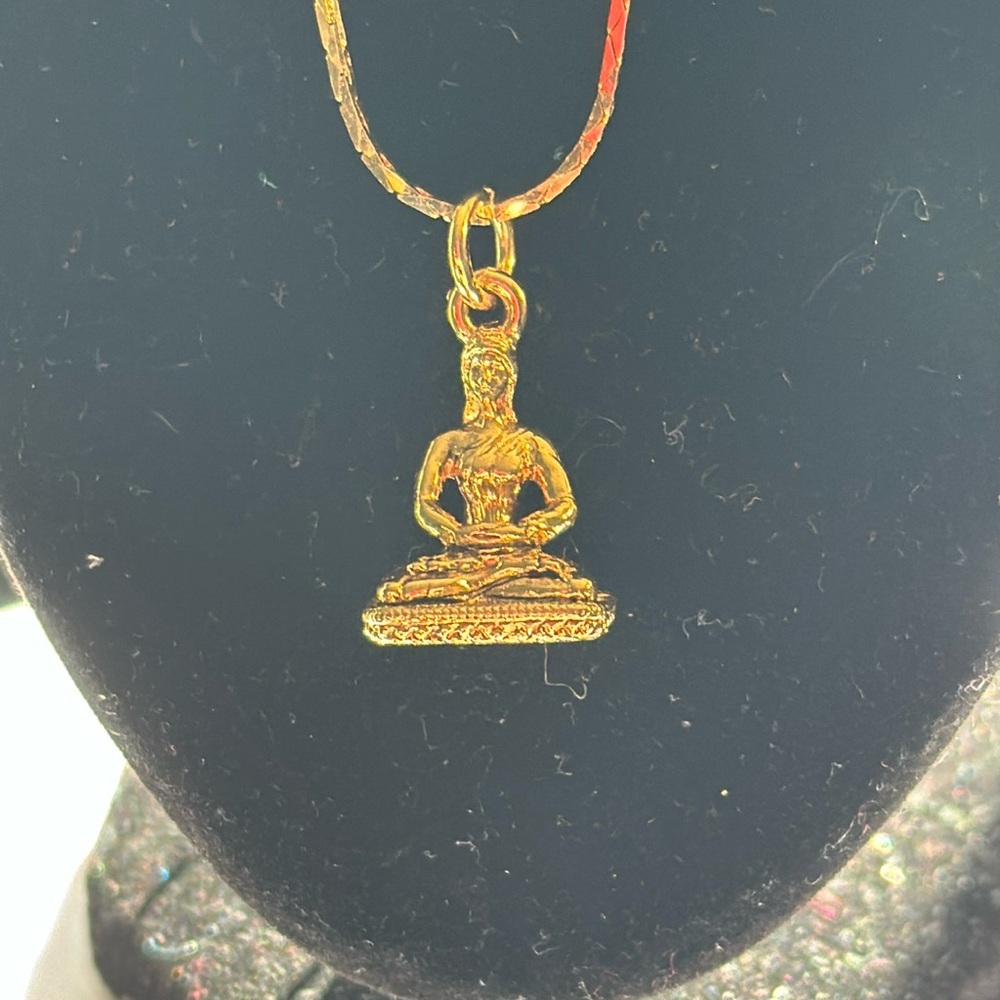 JOAN RIVERS 24” Pendant Necklace